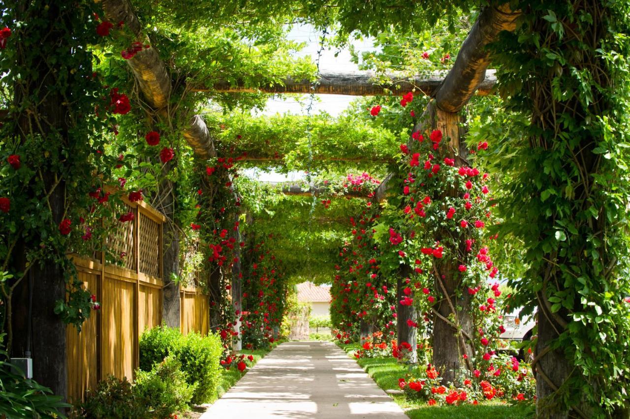 South Coast Winery Resort & Spa Temecula Kültér fotó